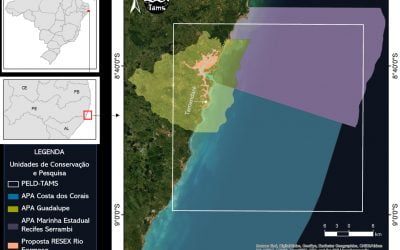 MCTI abraça ações de pesquisa e exploração sustentável do mar