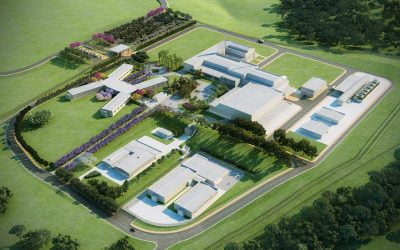 Amazul se reinventa e concretiza novos negócios