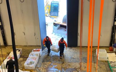 Programa Antártico Brasileiro conclui mais uma operação especial