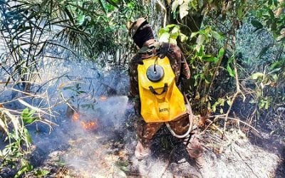 Patrulhas aéreas e motorizadas auxiliam na identificação e no combate a incêndios
