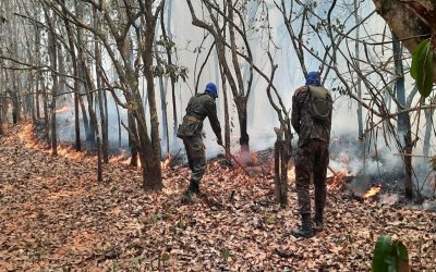 18º GRUPO DE ARTILHARIA DE CAMPANHA APOIA OS BOMBEIROS NO COMBATE AO FOGO EM SANTO ANTÔNIO DO LEVERGER (MT)