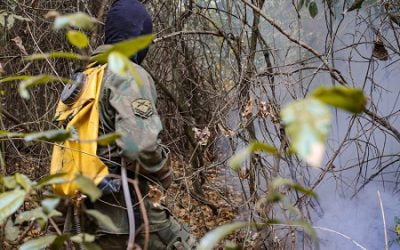 Forças Armadas combatem novos focos de incêndio no MT