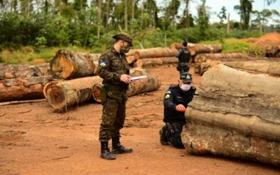Operação Verde Brasil 2 evidencia a importância do combate aos crimes ambientais