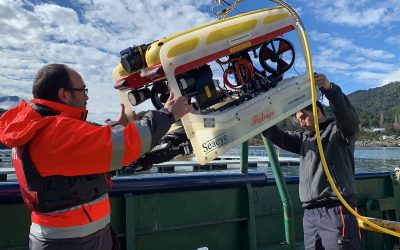 Aquicultura sul-americana recebe o terceiro Falcon