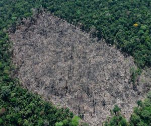 INPE e IBAMA realizam validação de dados inéditos do DETER em Rondônia