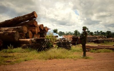 Operação Verde Brasil 2 completou 210 dias com queda no desmatamento
