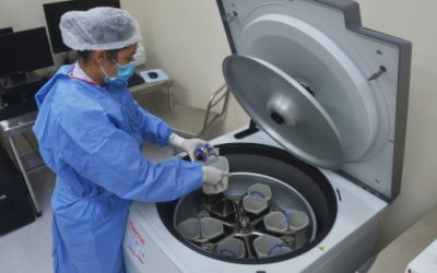 Centro de Processamento Celular do HNMD obtém licença sanitária para funcionamento