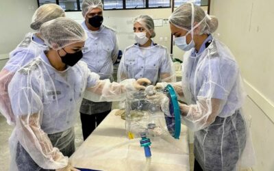 Esquadrão de Saúde de Fortaleza realiza curso para uso de capacete Elmo