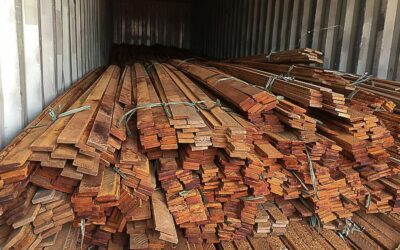 Operação da PF combate desmatamento ilegal na Floresta Amazônica