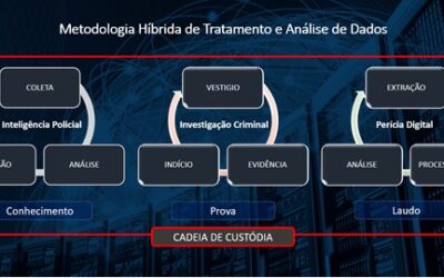Aspectos fundamentais no impacto da tecnologia da informação na segurança pública contemporânea