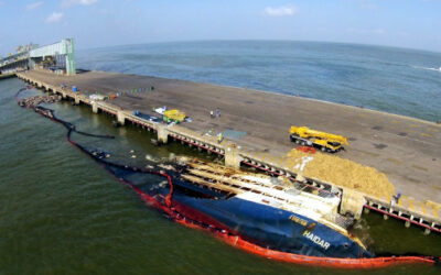 Marinha autoriza plano de salvamento de navio que naufragou com 5 mil cabeças de gado