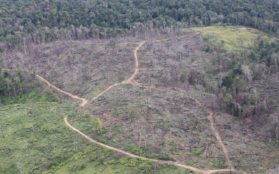 Exército participa de sobrevoo para fiscalização de crimes ambientais