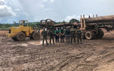 Comando Conjunto Norte colabora na fiscalização de madeireiras no PA