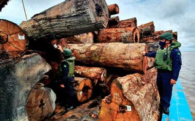 Navio-Auxiliar “Pará” reforça ações da Operação “Verde Brasil II”