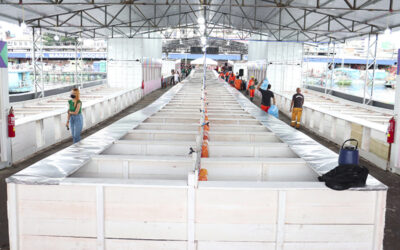 Após cheia no Rio Negro, Marinha estrutura primeira feira flutuante do Brasil