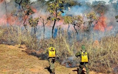 CIAB participa de operação de prevenção contra incêndios florestais
