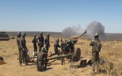 Artilharia de Campanha participa de exercício conjunto em Formosa (GO)