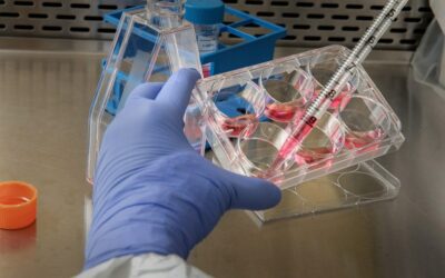 FAPESP lança nova chamada de apoio à pesquisa