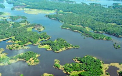 Defesa desenvolve ferramenta que auxilia na proteção do meio ambiente