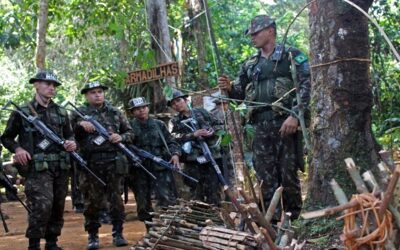 Selva: Brigada de Infantaria realiza estágio de adaptação