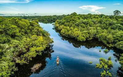 EMBRAPII, MEC e BNDES investem no desenvolvimento de tecnologias no Norte do Brasil
