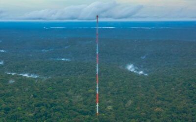 MCTI vai investir R$ 380 milhões em programas de ciência e inovação na região amazônica