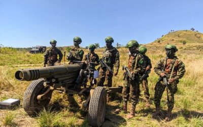 Artilharia paraquedista conduz treinamento com sistema de apoio de fogos