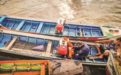 Escalpelamento: ações reduzem em 50% os acidentes na Amazônia