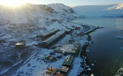 NApAnt: Contrato de construção começa a ser executado