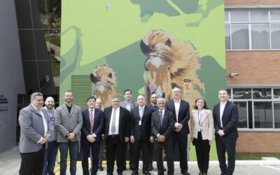 MCTI anuncia 2ª Feira Brasileira do Grafeno para 2023