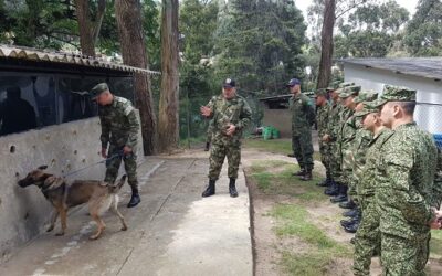 Desminagem: oficiais brasileiros habilitam colombianos
