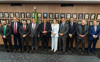 MJSP discute apoio à segurança dos estados