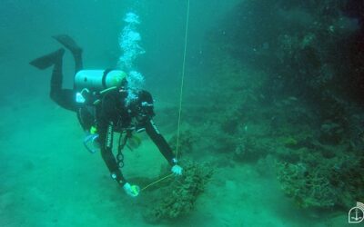 Embarcações naufragadas resgatam história do Brasil