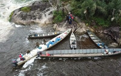 Exércitos do Brasil e França realizam ações no Amapá