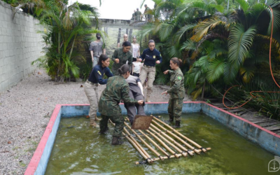Marinha abre vaga para Curso de Operações de Paz para mulheres