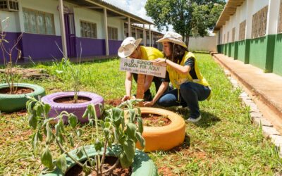 Defesa 24 anos: Ações sociais já beneficiaram cerca de 2,3 milhões de cidadãos