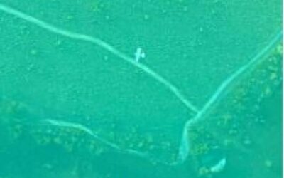 Duas ações contra o garimpo ilegal são deflagradas em 24h