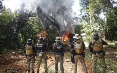 Força Tarefa de Segurança Pública Ambiental realiza operação por 17 dias consecutivos no Amazonas