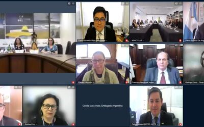 Ministra reafirma compromisso com fortalecimento da cooperação científica com Argentina