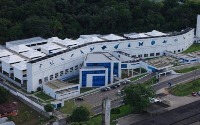 Bionegócios da Amazônia entram em nova fase com contrato de gestão