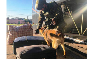 Operação Ágata Guaicurus II é desencadeada no Mato Grosso do Sul