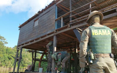 Operação no Vale do Javari e tríplice fronteira combate garimpo ilegal na região amazônica