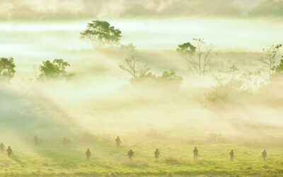 Mais de 1400 militares atuam em certificação de brigada motorizada como força de prontidão