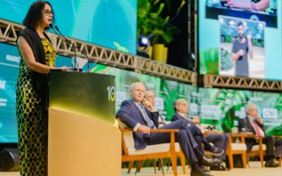 Para ministra Luciana Santos, próximas edições do ranking global de inovação vão refletir tamanho da economia brasileira