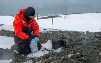 42ª Operação Antártica inicia com apoio a 23 projetos brasileiros no âmbito do Programa Antártico Brasileiro