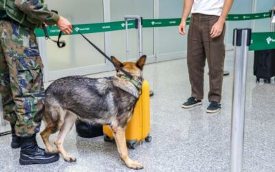 GLO: Com PF e RFB, FAB intensifica combate ao tráfico de ilícitos no carnaval
