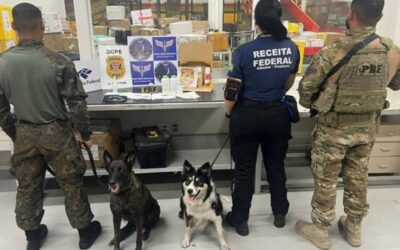 Operação Ponte Aérea completa 90 dias com desempenho positivo